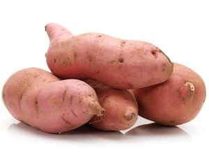 Sweet Potato Netherlands