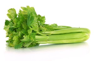 Celery Organic