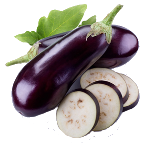 Eggplant Netherlands