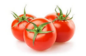 Tomato Round Netherlands