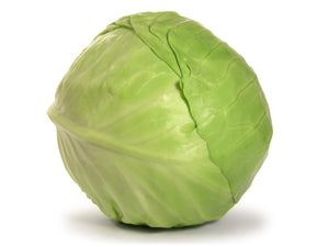 Cabbage Netherland