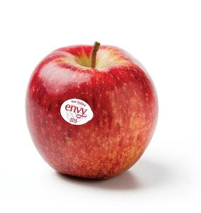 Apple Envy Branded Bag