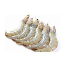 Shrimps 70-80