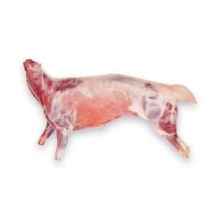 Local Lamb Carcass