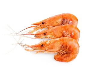 Shrimps 40-60