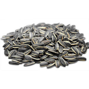 Al Douri Sunflower Seed Salted