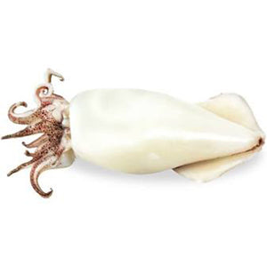 Calamari Large Whole Cleaned UAE