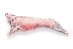 Australian Lamb Carcass