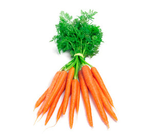 Carrot Netherland