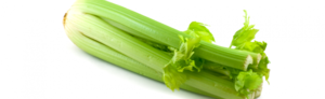 Celery Netherland