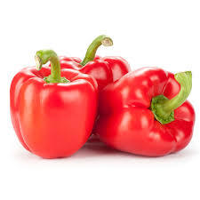 Red Capsicum Netherlands