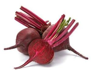 Beetroot Netherlands