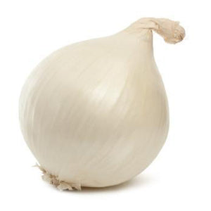 Organic White Onion