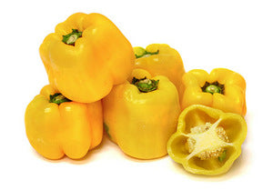 Yellow Capsicum Netherlands