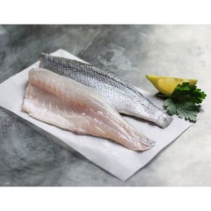 Sea Bass Fillet Fresh Turkey