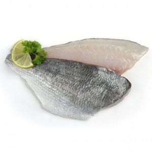 Sea Bream Fillet Fresh Turkey