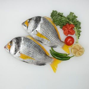 Wild Yellow Sea bream Fresh Cleaned UAE