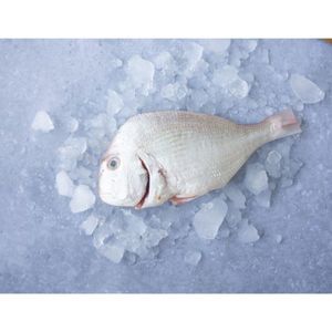 Wild Pink Sea Bream Fresh Cleaned UAE