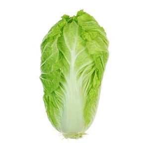 Romaine Lettuce Lebanon