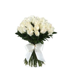 Bouquet Of White Roses