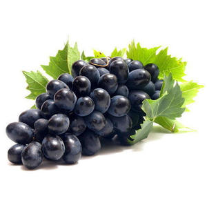 Grapes Black Turkey