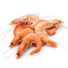 Prawns Medium