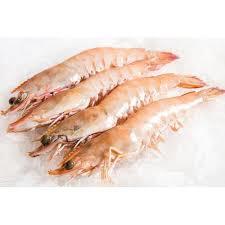 40/50 Shrimps