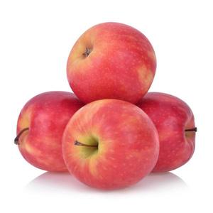 Apple Gilmac New Zealand