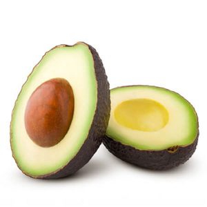 Avocado Hass Holland