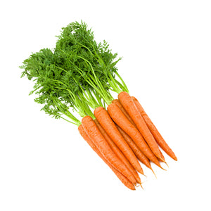 Baby Carrot With Top South Africa