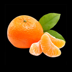 Baby Orange Australia