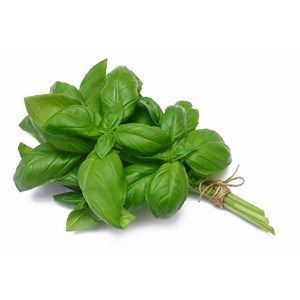 Basil Leaves UAE