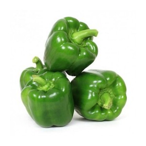 Bell Pepper Green Holland