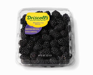 Blackberry Driscolls USA