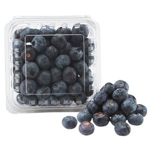 Blueberries Bucket Holland