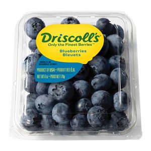 Blueberry Driscolls Chile