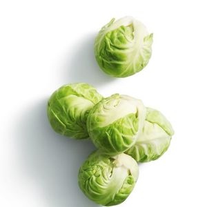 Brussel Sprout Australia