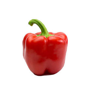 Capsicum Mini Red Holland