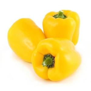 Capsicum Mini Yellow Holland