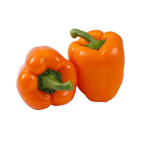 Capsicum Orange Holland