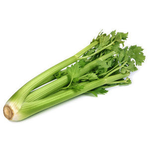 Celery Leaves Spain