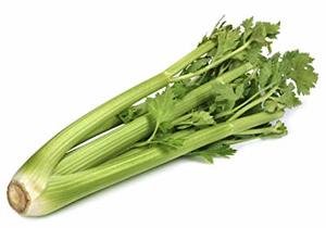 Celery Stick Local