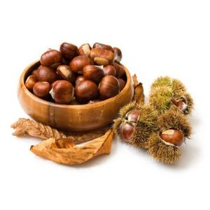 Chestnut Big China