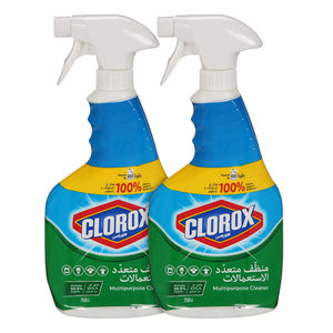 Clorox Multipurpose Cleaner