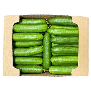 Cucumber UAE