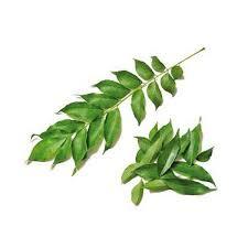 Curry Leaves Oman