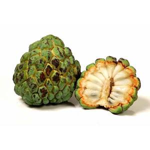 Custard Apple Spain