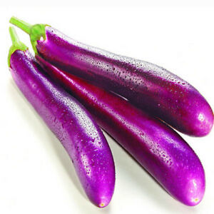 Eggplant Purple Long Local