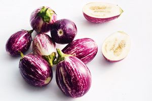 Eggplant Red Small Oman