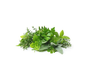 Fresh Herbs UAE